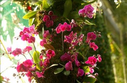 thumbimg